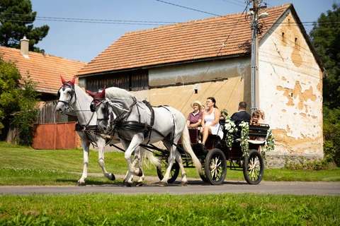 Nevěsta s rodiči jede kočárem na obřad, Horní Raškovice