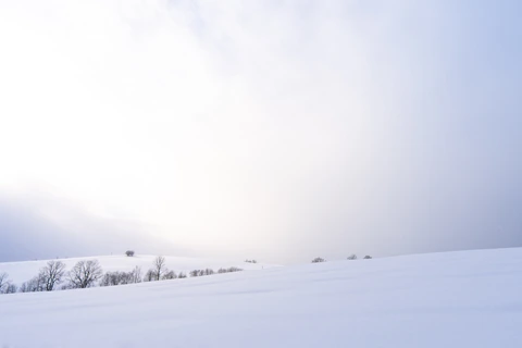 Zimní krajina v okolí Říček v Orlických horách