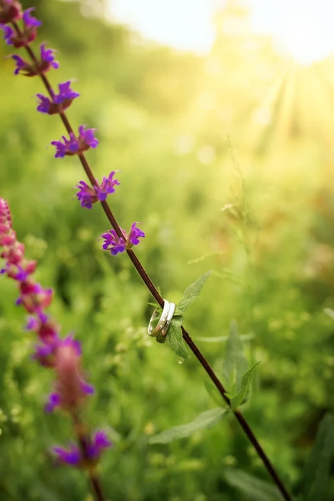 Vybrané a nejzajímavější svatební fotografie roku 2025
