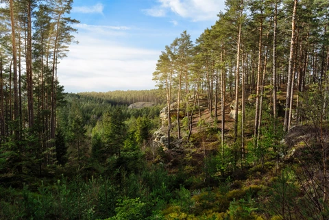 Tip na výlet – přírodní rezervace Toulovcovy Maštale
