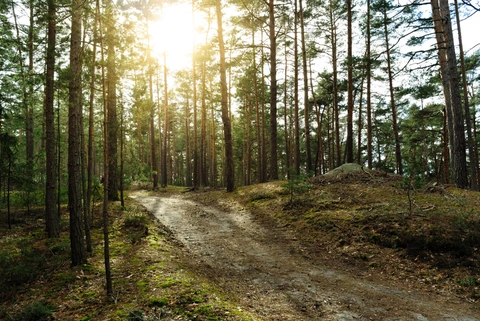Toulovcovy Maštale