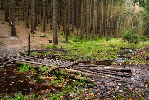 Pod Kostelíčkem, Toulovcovy Maštale