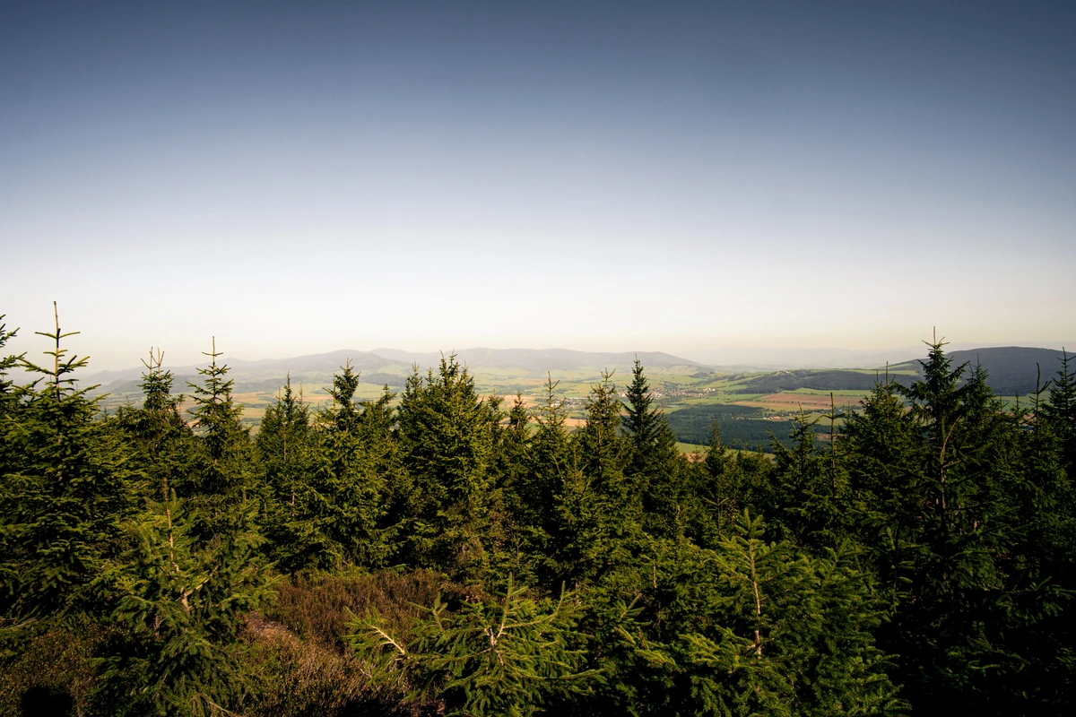 Tip na výlet – z Jablonného nad Orlicí na Suchý vrch a zpět