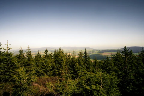 Tip na výlet – z Jablonného nad Orlicí na Suchý vrch a zpět