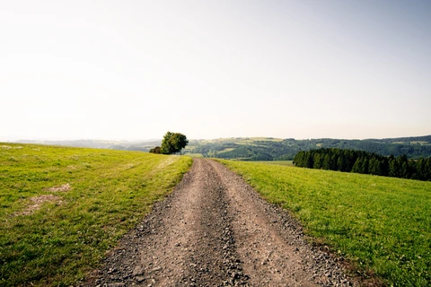 Cesta z lesa, Jamné nad Orlicí.