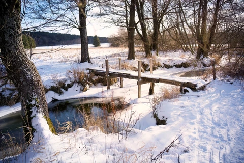 Meandry Svratky, Křižánky