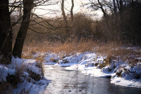 Meandry Svratky, Křižánky